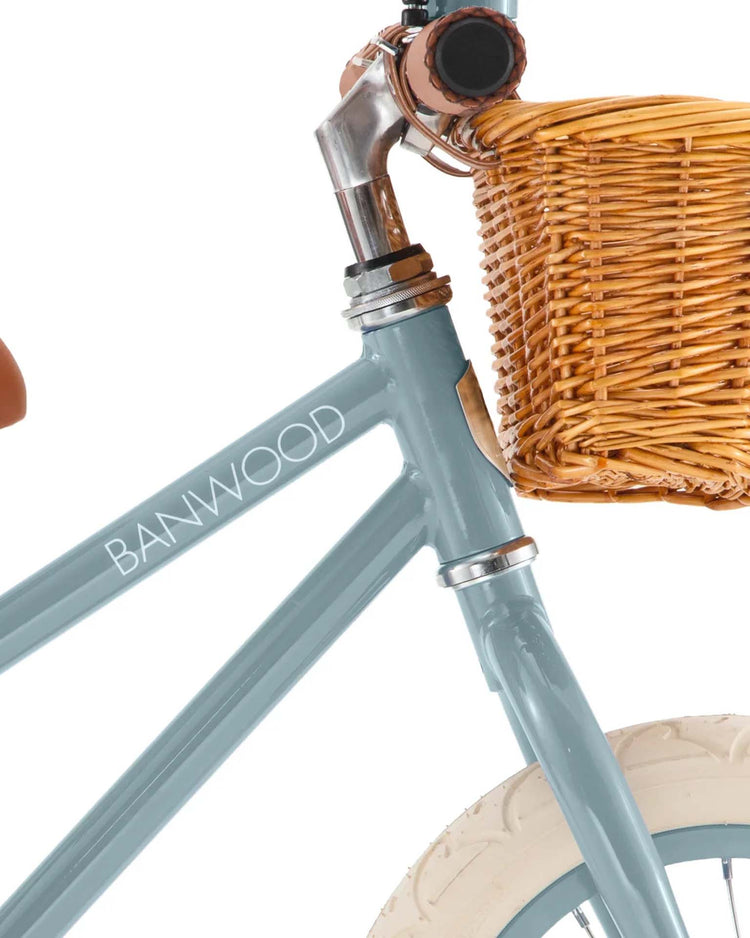balance bike in teal