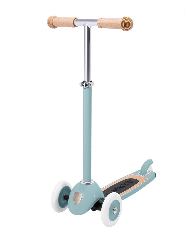 banwood scooter in teal