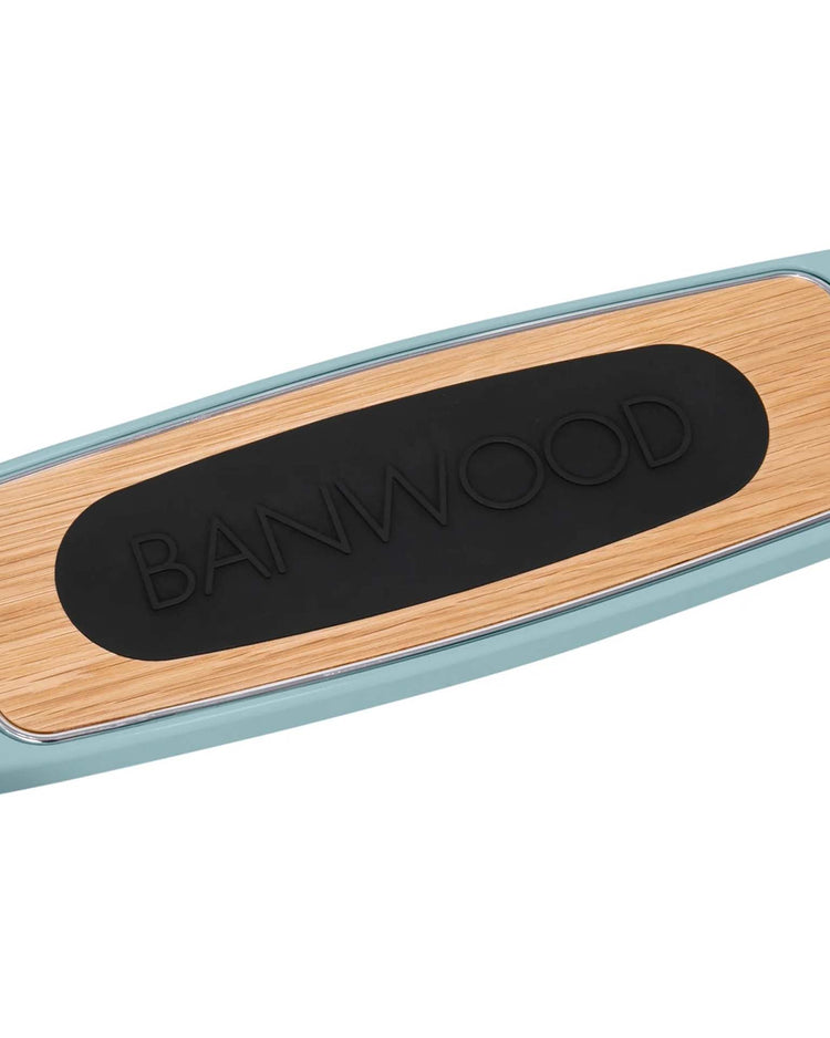 banwood scooter in teal