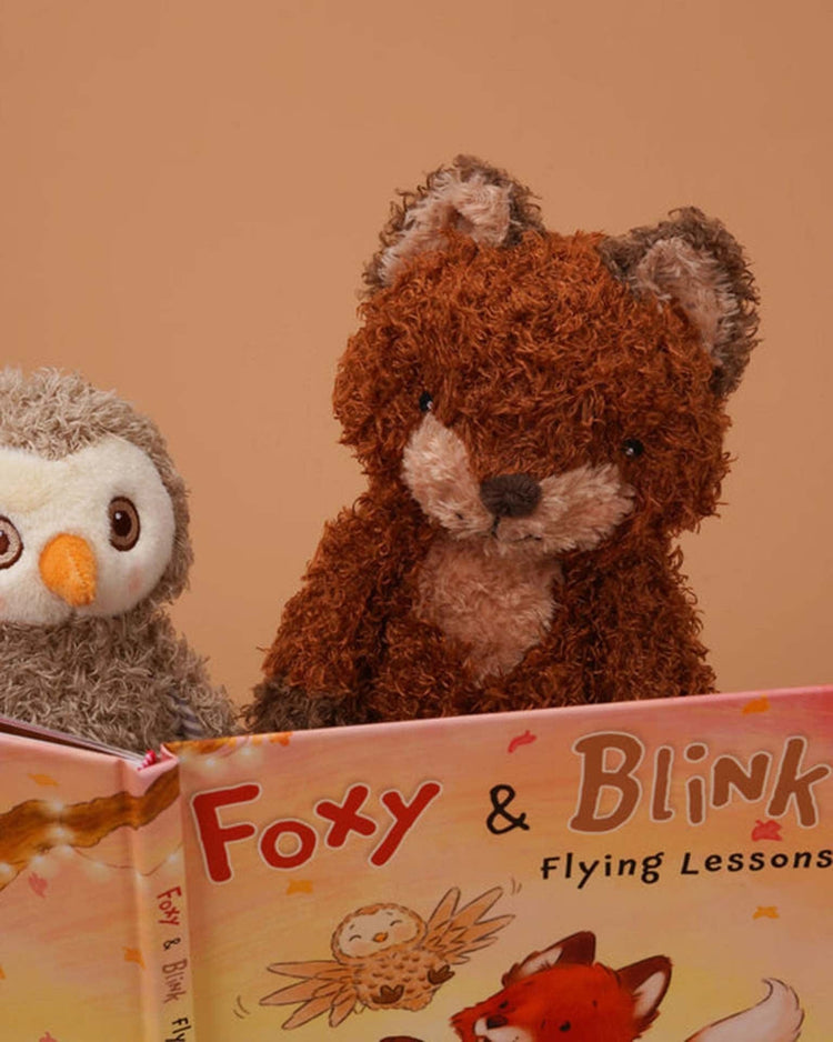 bunnies by the bay foxy + blink flying lesson story book play Little