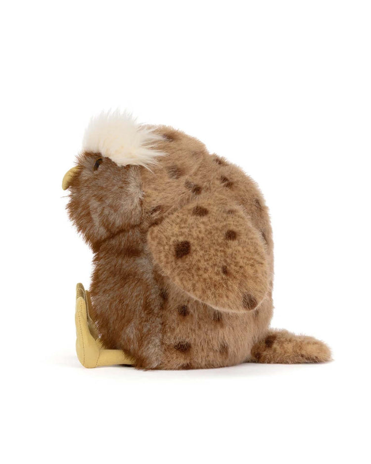 tawoola owl