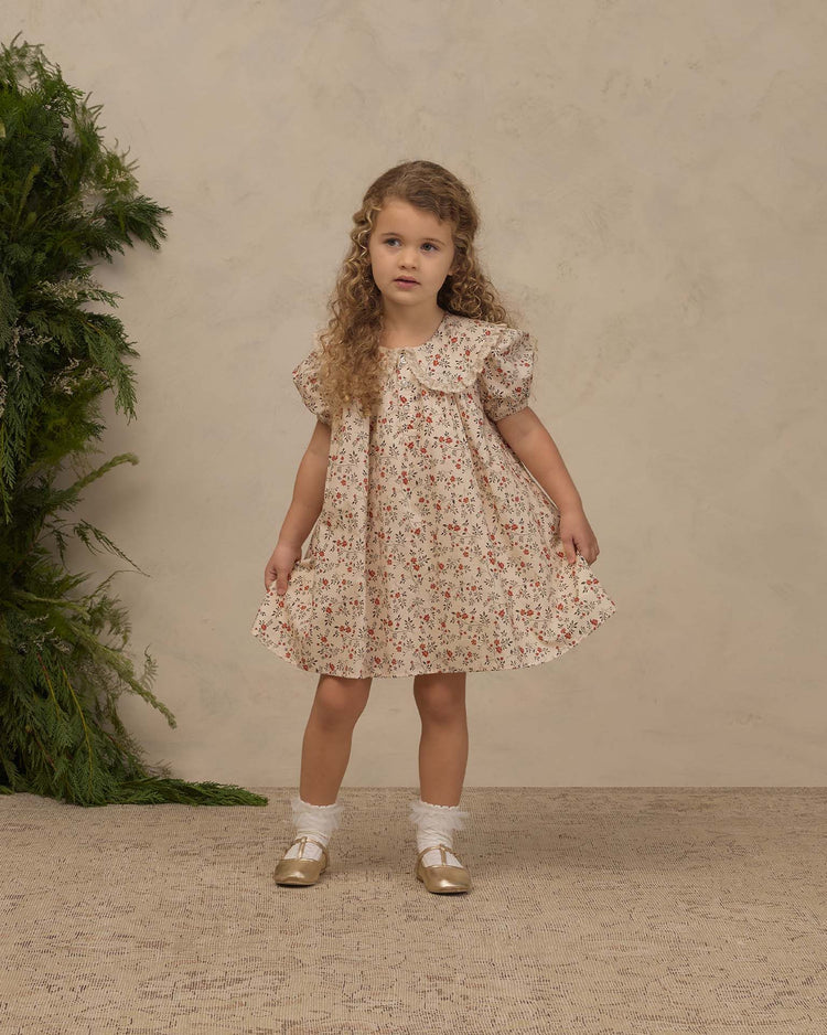 noralee lori dress in holly vines kids Little