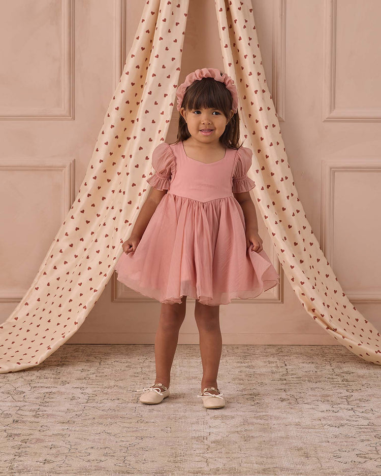 noralee valentine dress in pink kids Little