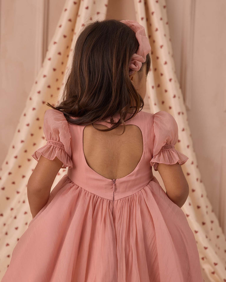 noralee valentine dress in pink kids Little