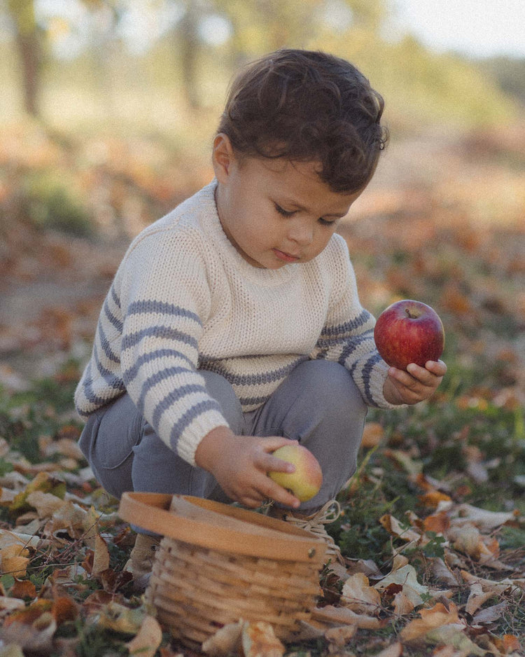 A young child wearing the quincy mae rex sweater in slate stripe crouches on autumn leaves, holding an apple in one hand while placing another apple into a wicker basket.