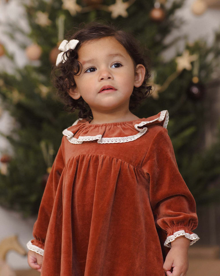 velour baby dress in redwood
