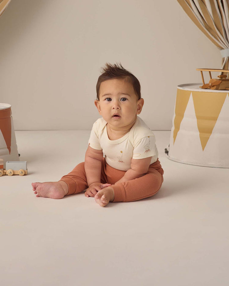 quincy mae short sleeve bodysuit pack in carnival + honey stripe baby Little