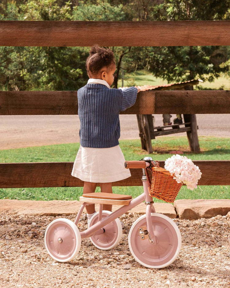 banwood banwood trike in dusty pink play Little