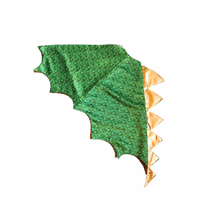 Little Bailey and Ava Dragon and Wizard Costume Gift Set in Green + Black