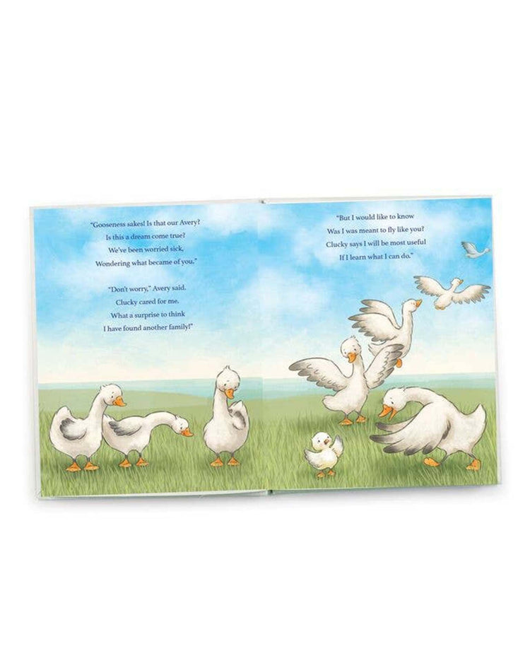 Little bunnies by the bay play avery aviator learns to soar story book