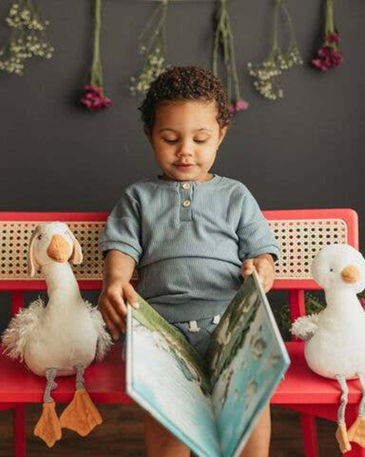 Little bunnies by the bay play avery aviator learns to soar story book