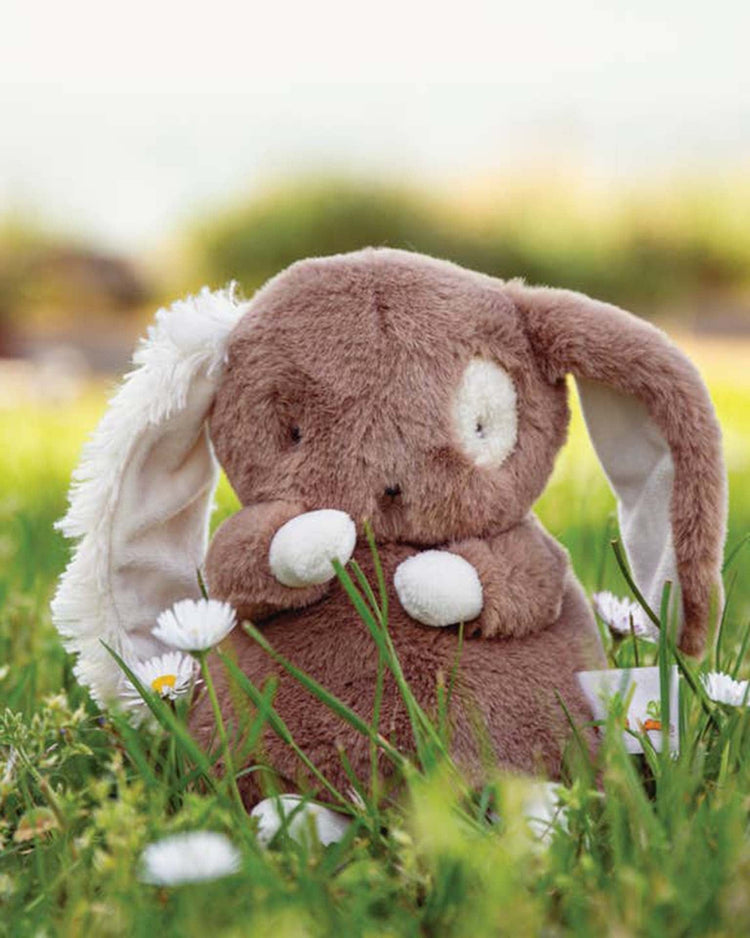 Little bunnies by the bay play baby harriet hare bunny