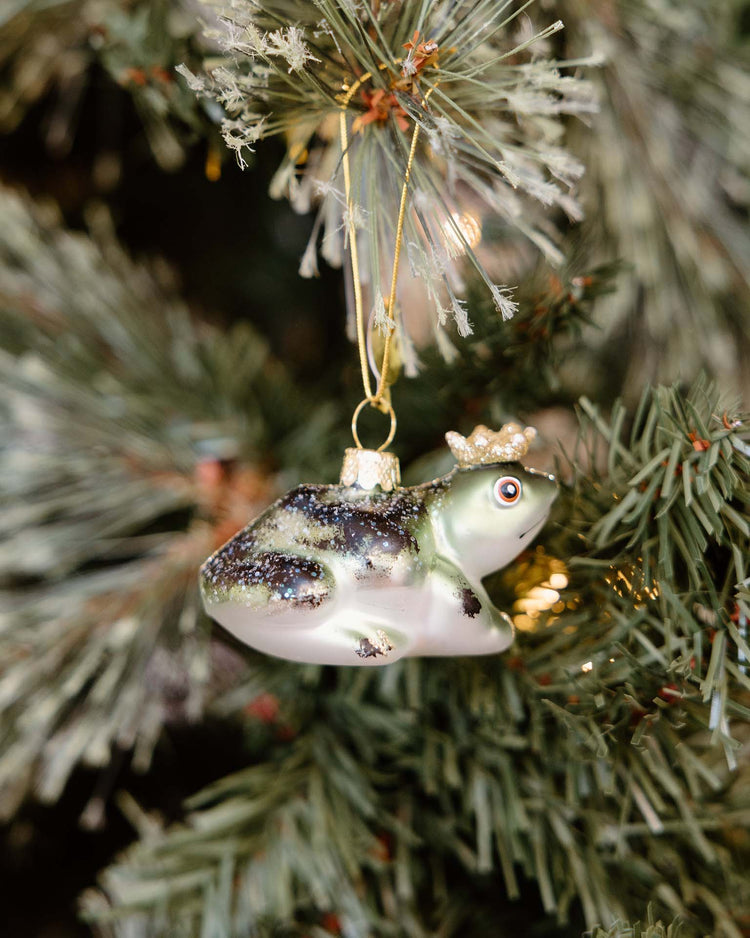 cody foster heraldly frog ornament room Little