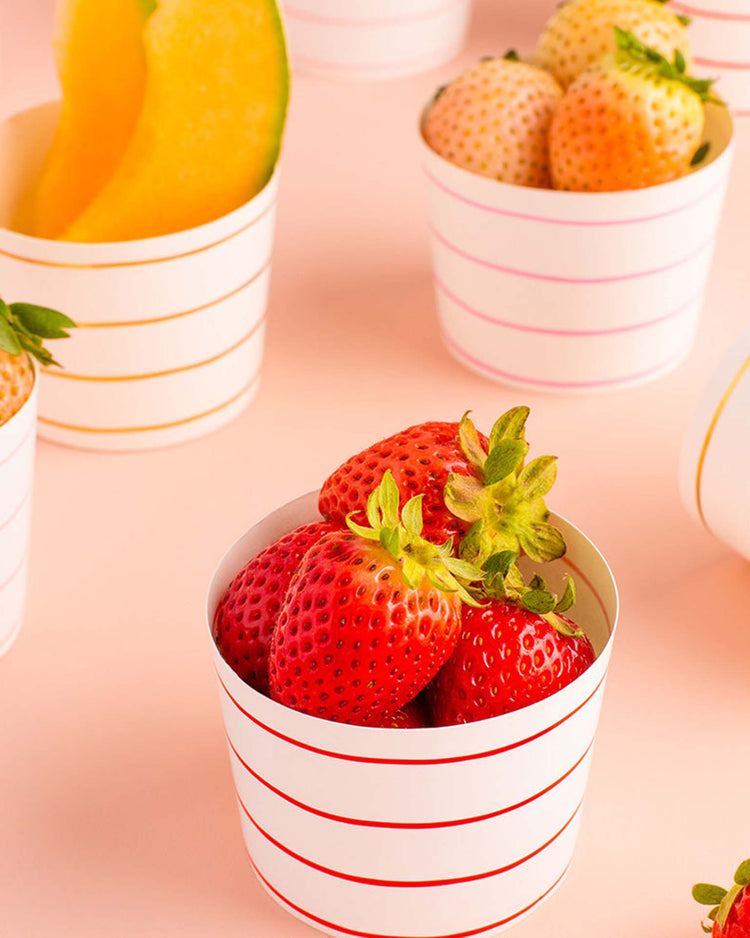 daydream society warm palette frenchie striped baking cups party Little
