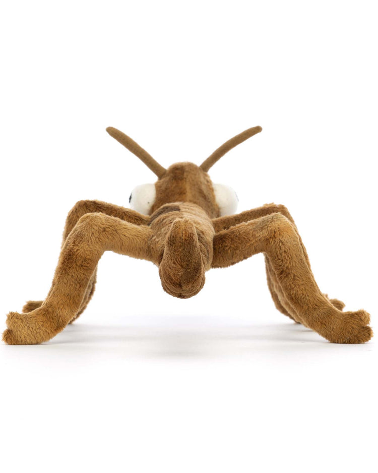 Little jellycat play stanley stick insect