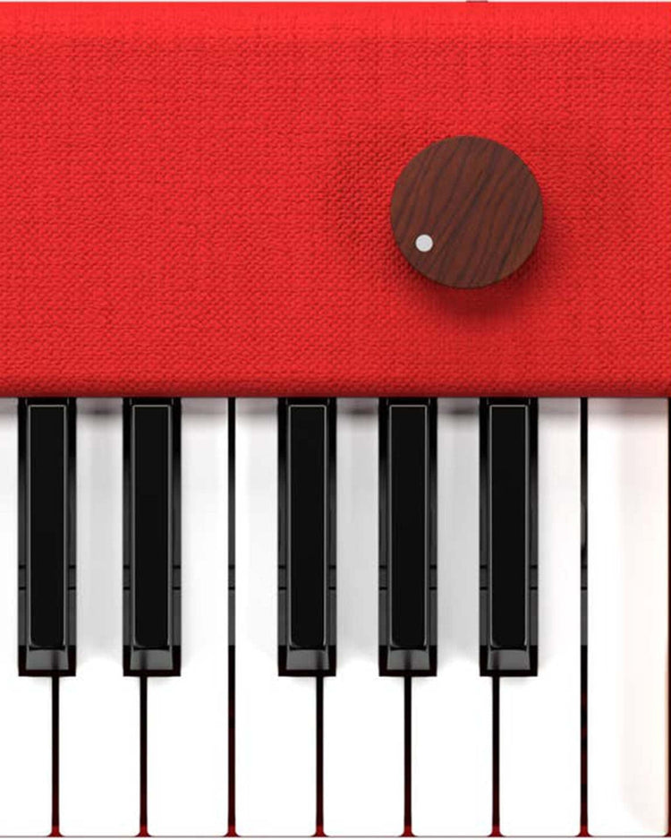Little loog guitars play loog piano