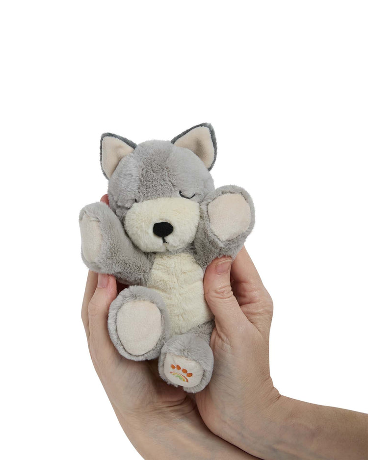 Little olli ella play binky puppy banjo