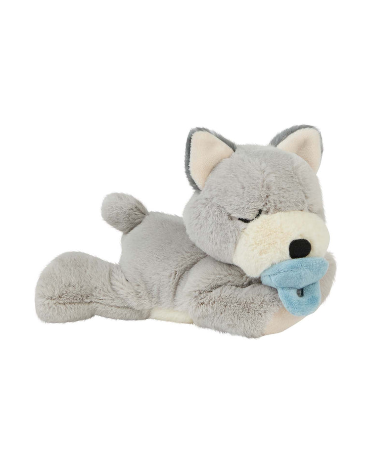 Little olli ella play binky puppy banjo