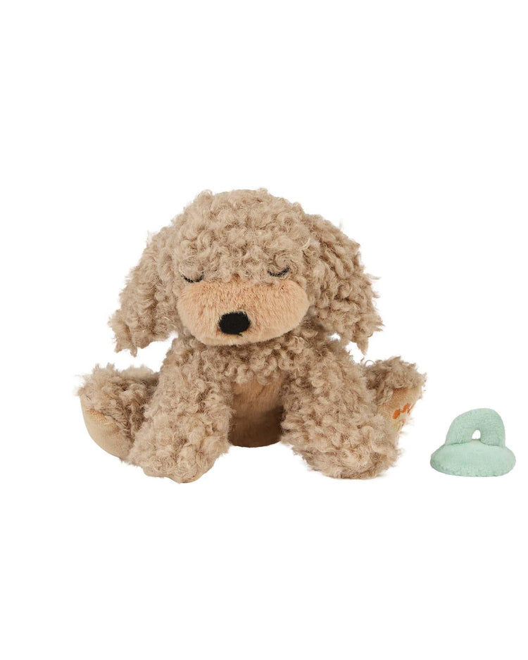 Little olli ella play binky puppy benny