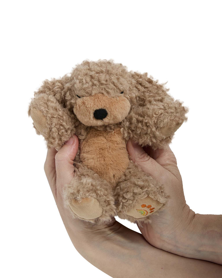 Little olli ella play binky puppy benny