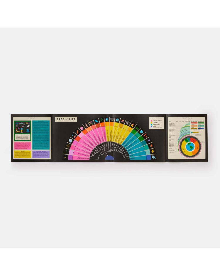 Little phaidon play full of life