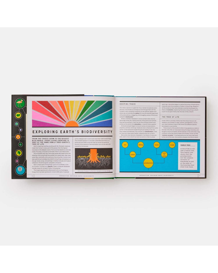 Little phaidon play full of life