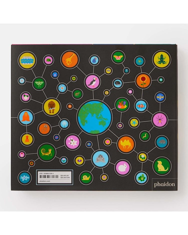 Little phaidon play full of life