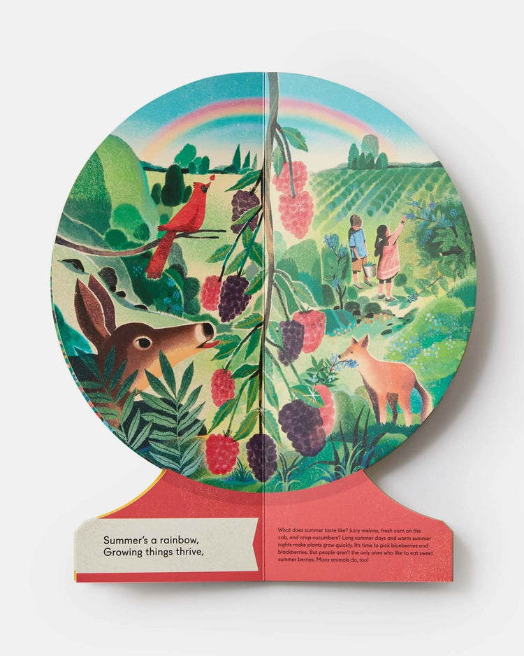 Little phaidon play our seasons: the world in winter, spring, summer, and autumn