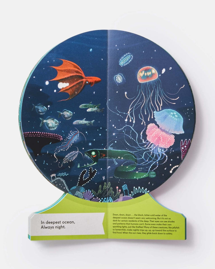 Little phaidon play our underwater world: first dive in oceans, lakes, and rivers