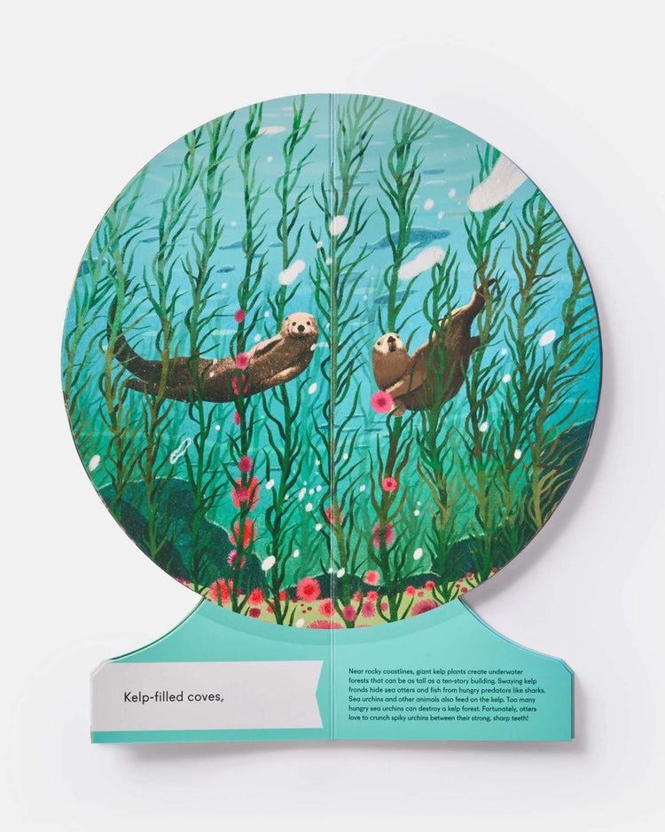 Little phaidon play our underwater world: first dive in oceans, lakes, and rivers