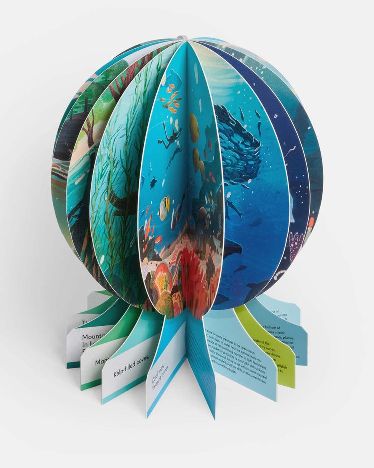 Little phaidon play our underwater world: first dive in oceans, lakes, and rivers