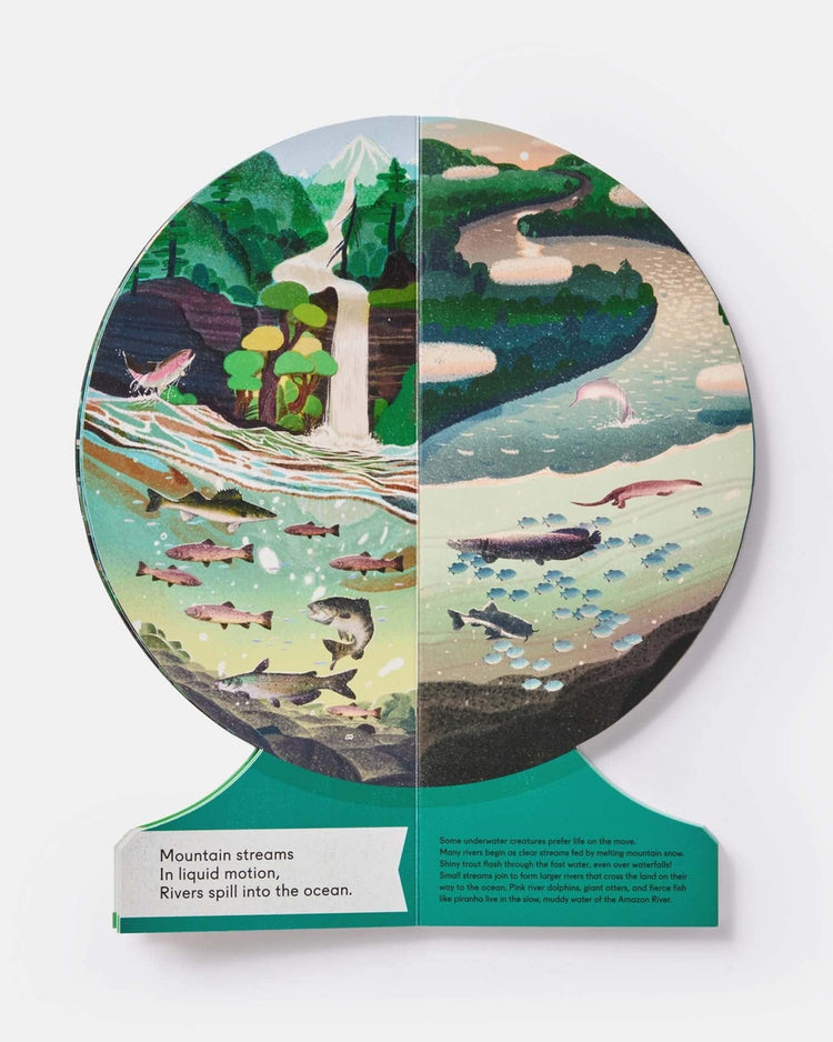 Little phaidon play our underwater world: first dive in oceans, lakes, and rivers