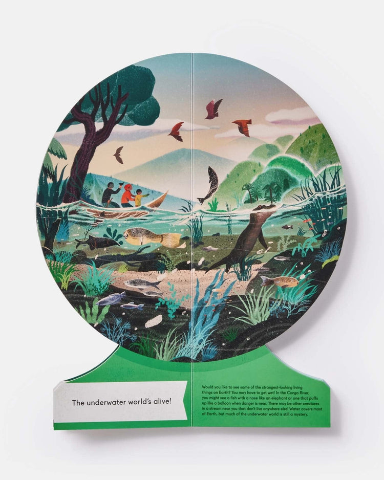 Little phaidon play our underwater world: first dive in oceans, lakes, and rivers