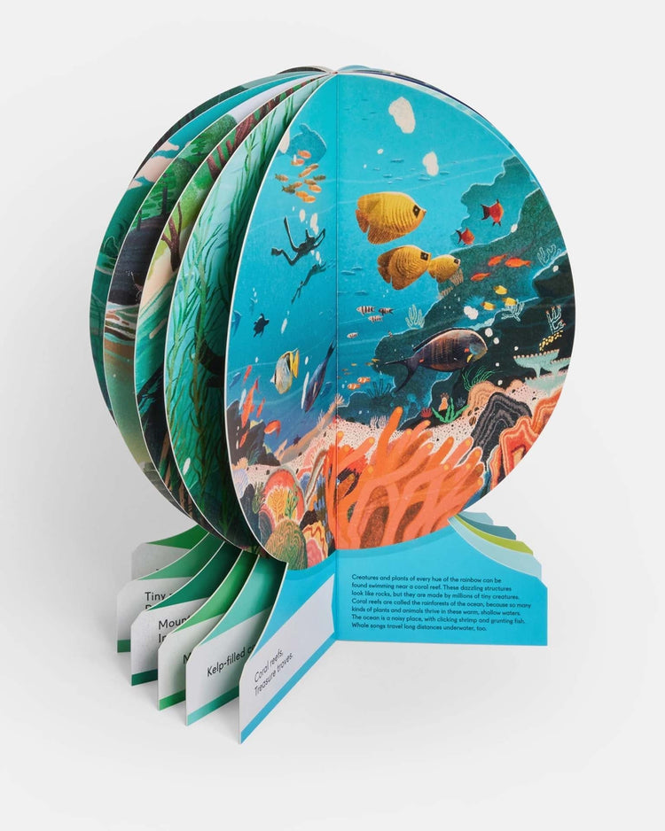 Little phaidon play our underwater world: first dive in oceans, lakes, and rivers