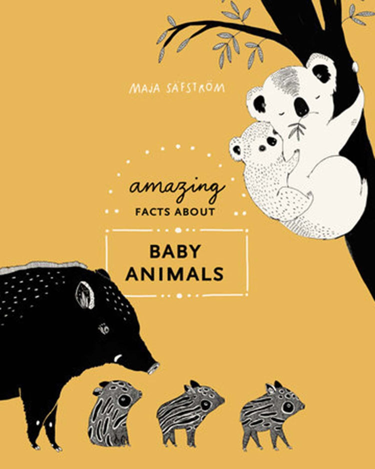 Little random house play amazing facts about baby animals: an illustrated compendium