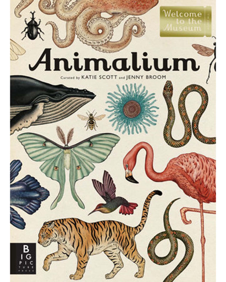 Little random house play Animalium