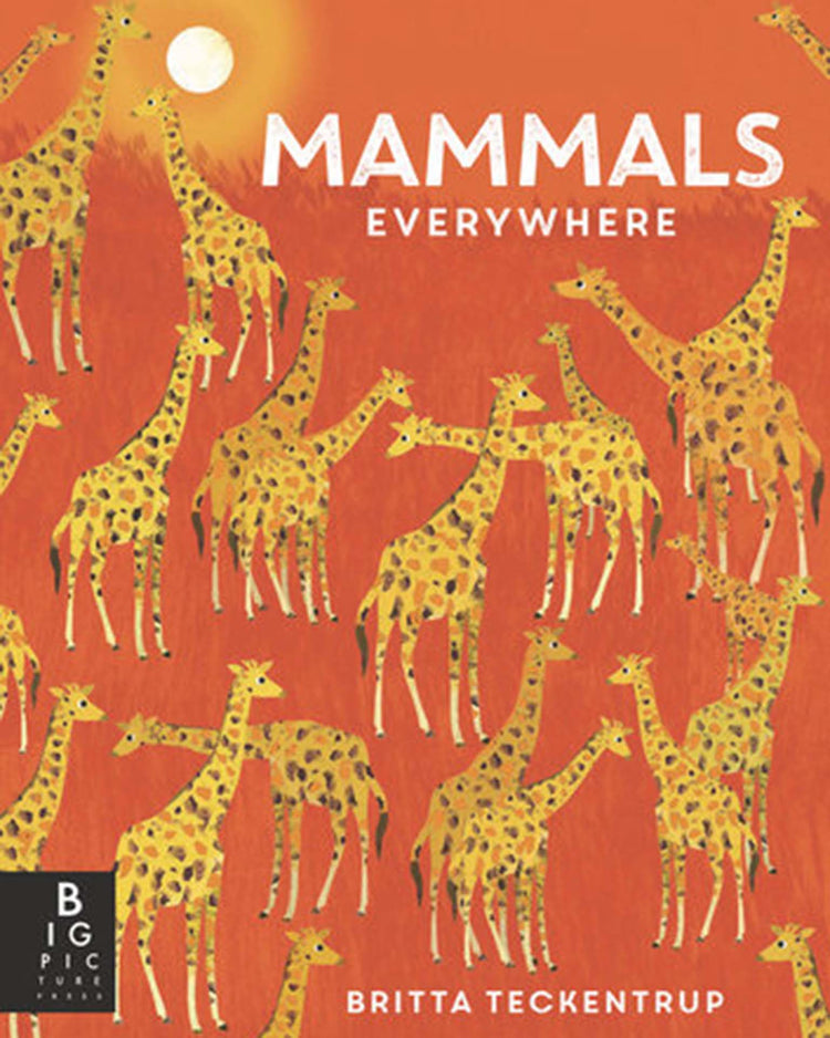 Little random house play mammals everywhere