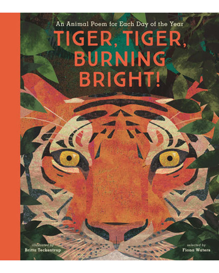 Little random house play tiger, tiger, burning bright!