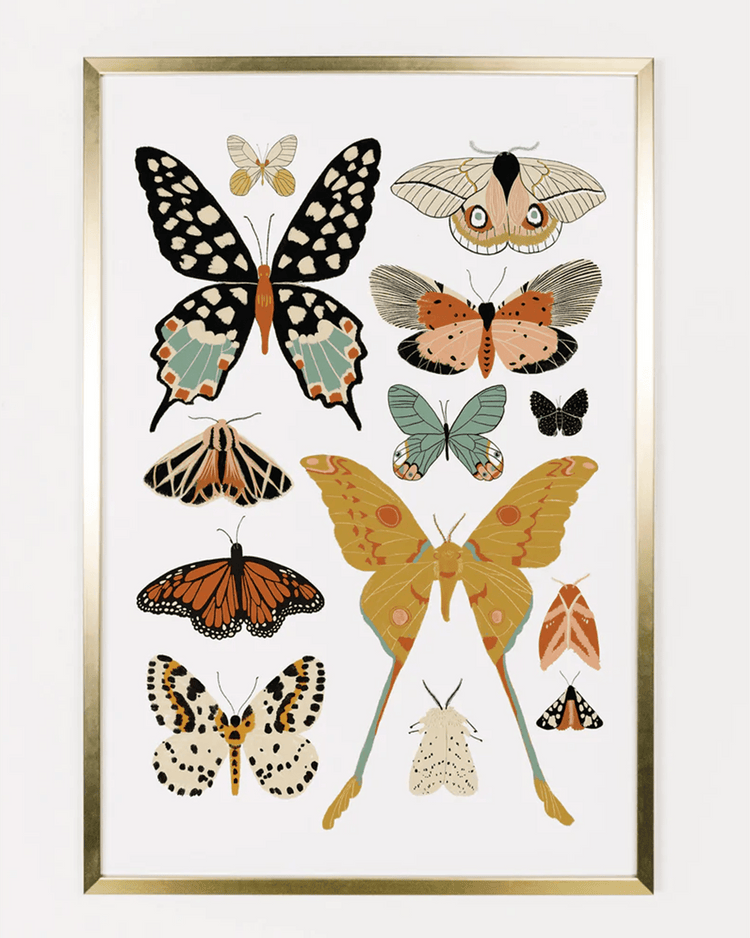 clementine kids butterfly collector art print room Little
