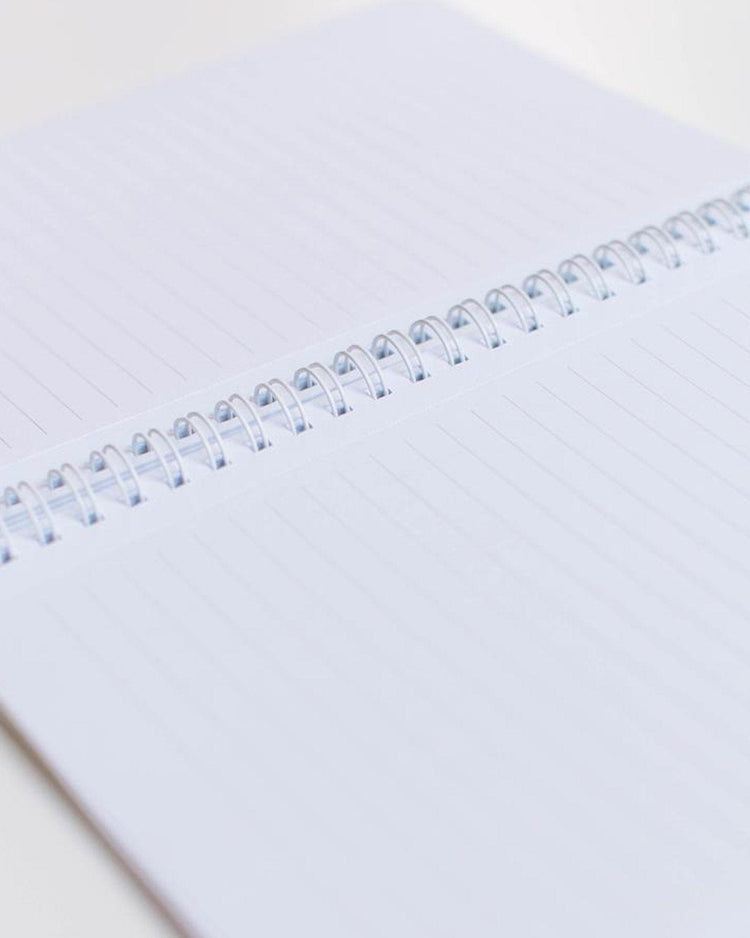 clementine notebook