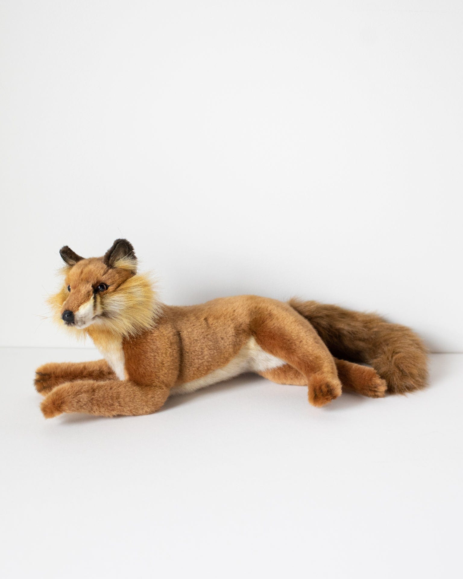 Foxes Of The World Funny Fox Stuff Animals Educational Gifts - Foxes Of The  World - Pin