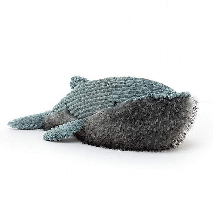 wiley whale