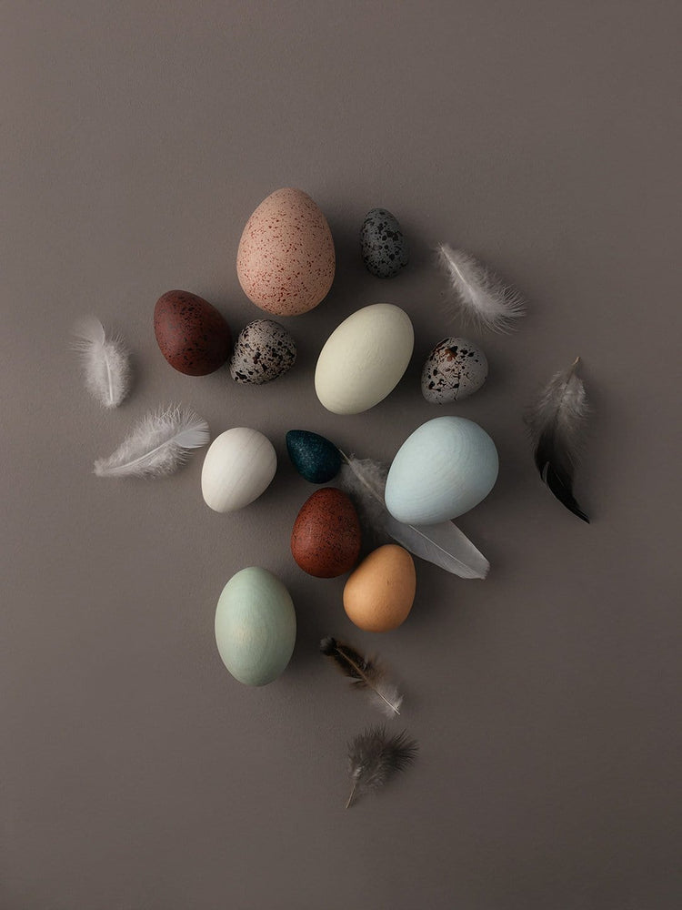 Little moon picnic play a dozen bird eggs