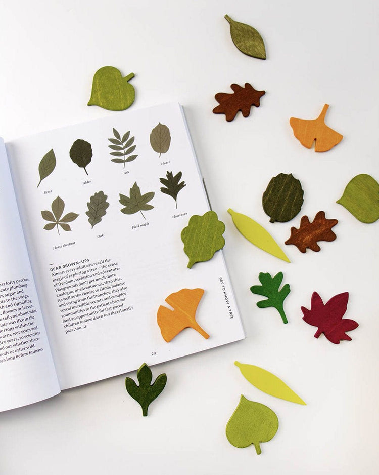 Little moon picnic play woodland leaves