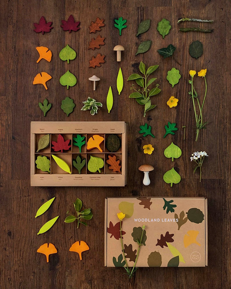 Little moon picnic play woodland leaves