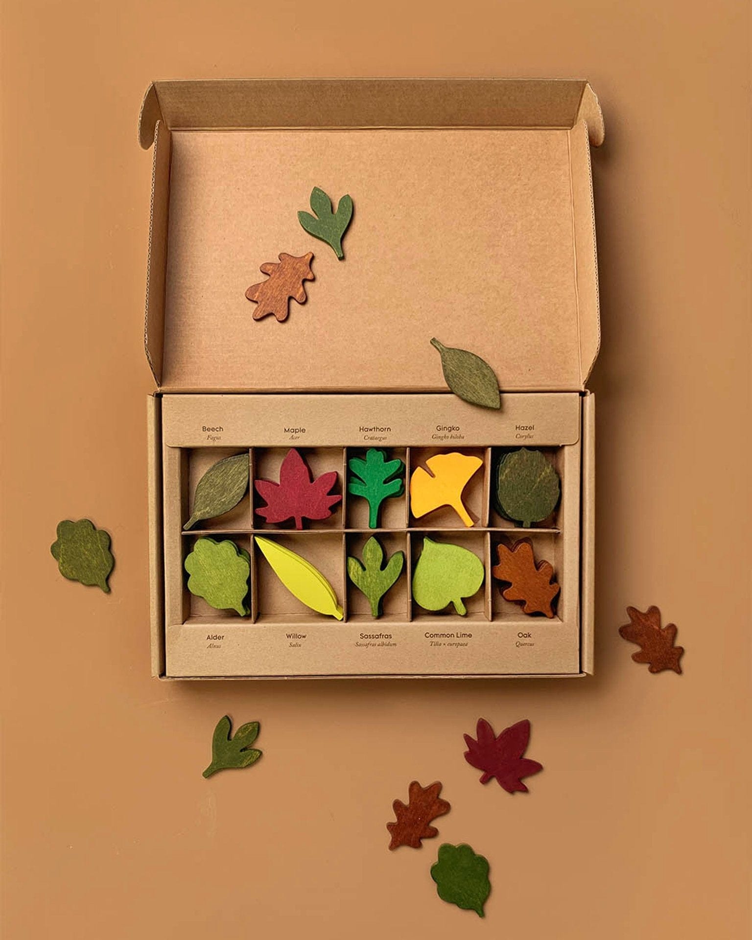 Little moon picnic play woodland leaves