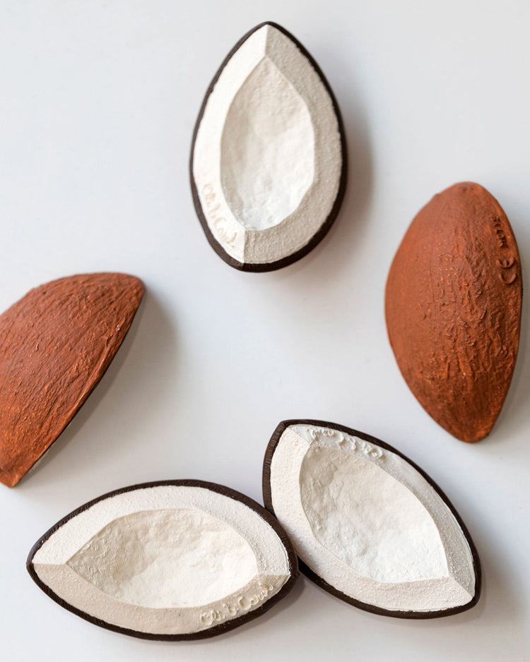 coco the coconut