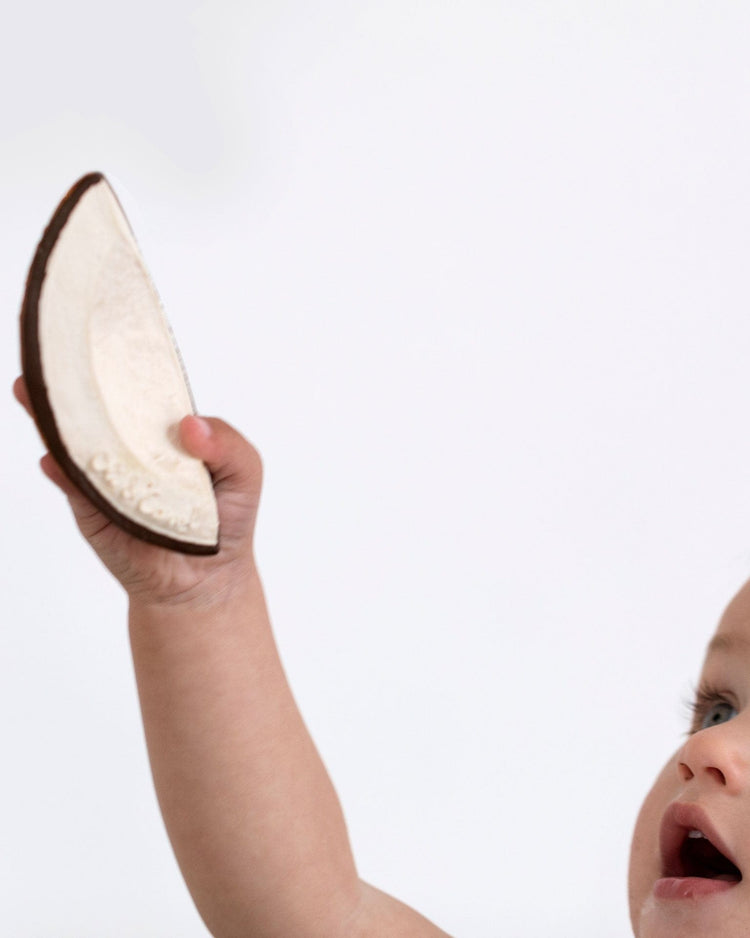 coco the coconut