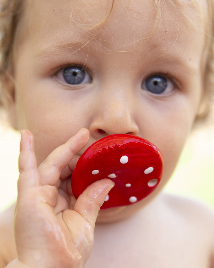 Little oli + carol baby accessories spotty the mushroom