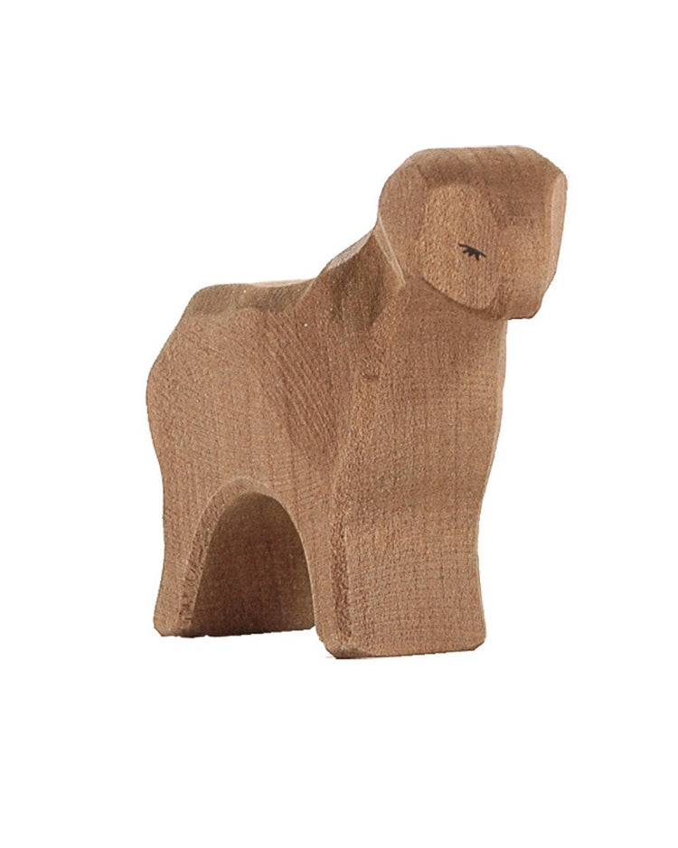 Little ostheimer play brown sheep standing